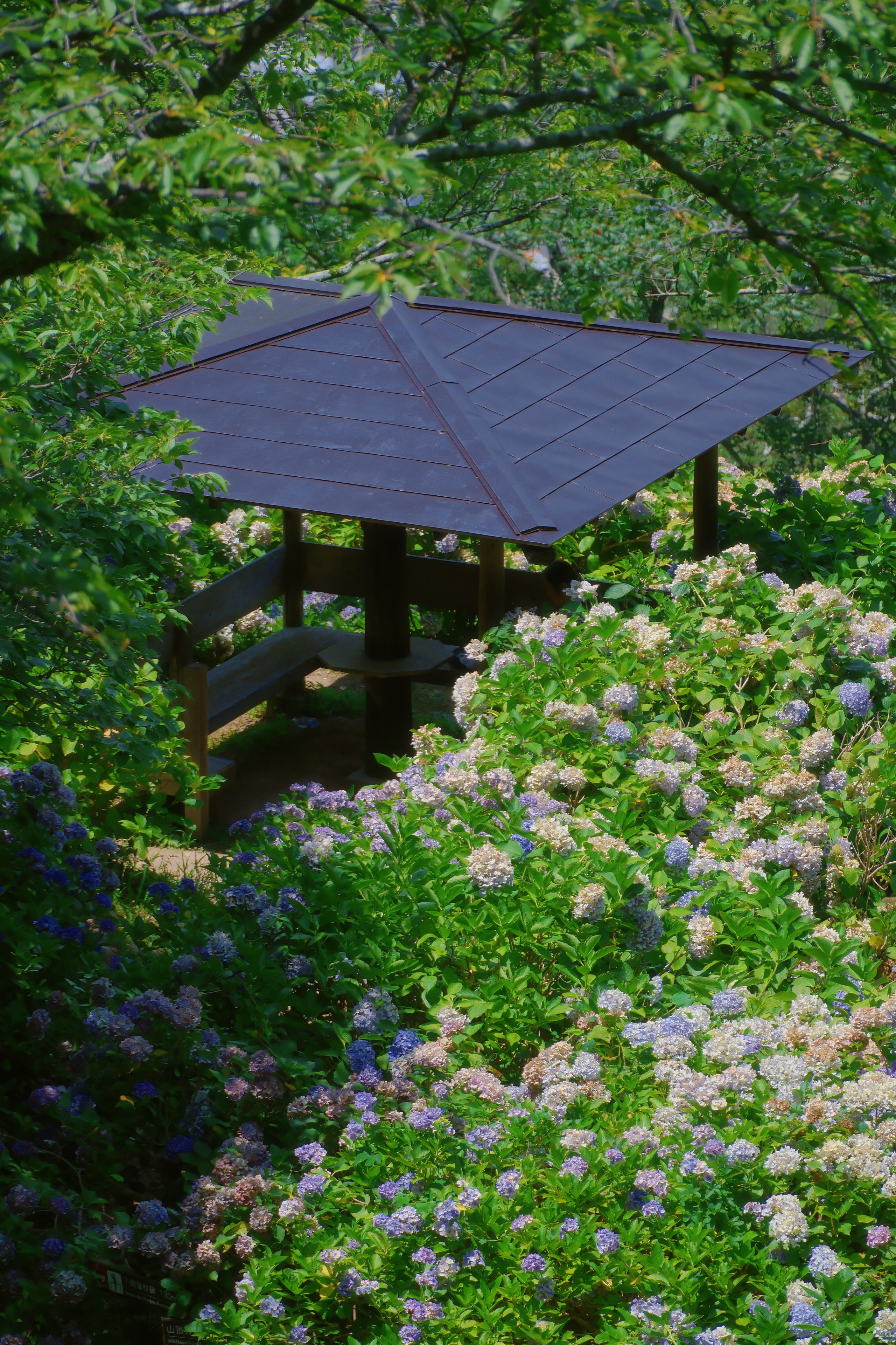 11 (2) from the seasons photography series.